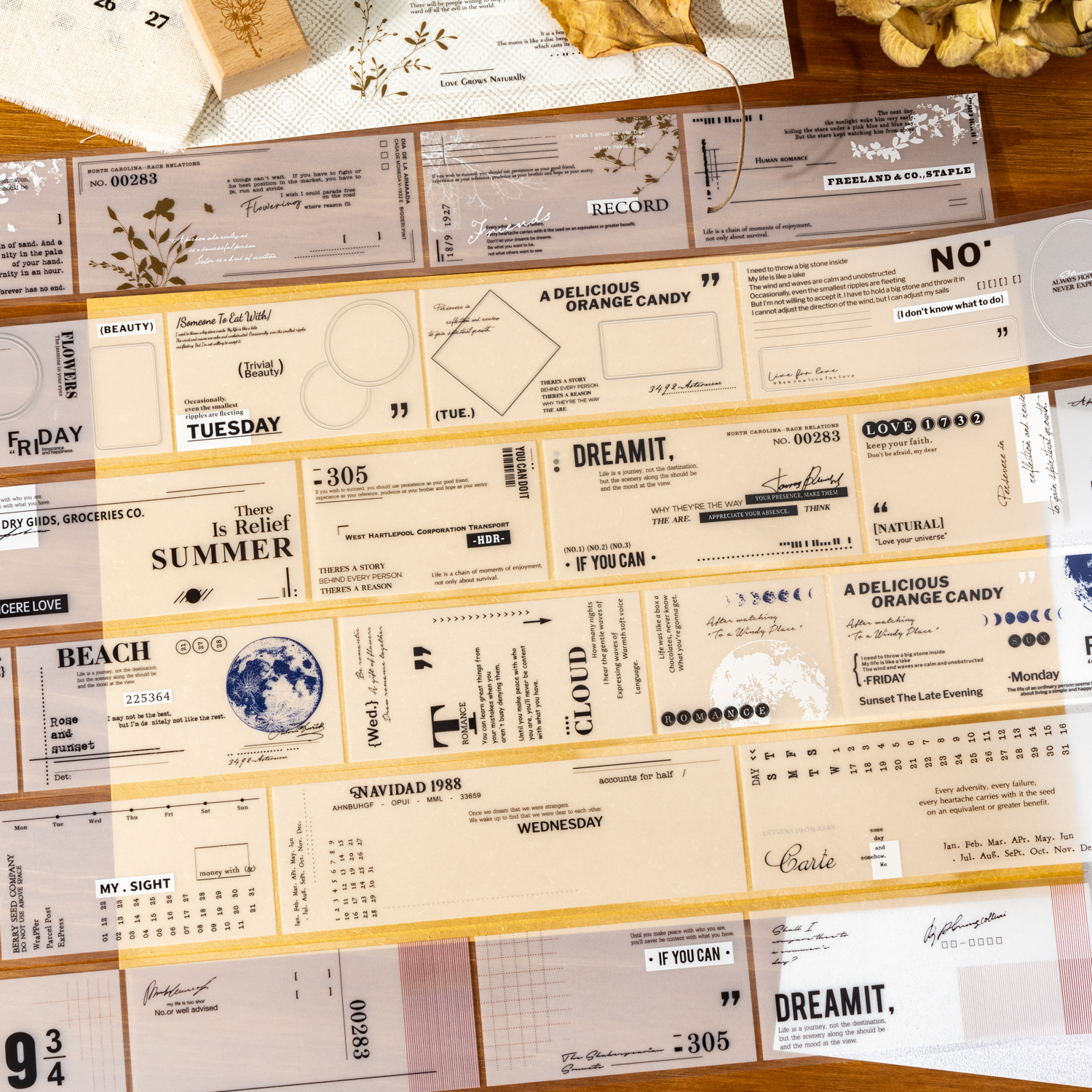 PET 테이프 - 50mm*200cm 종이에 가볍게 스케치하는 시리즈 빈티지 라벨