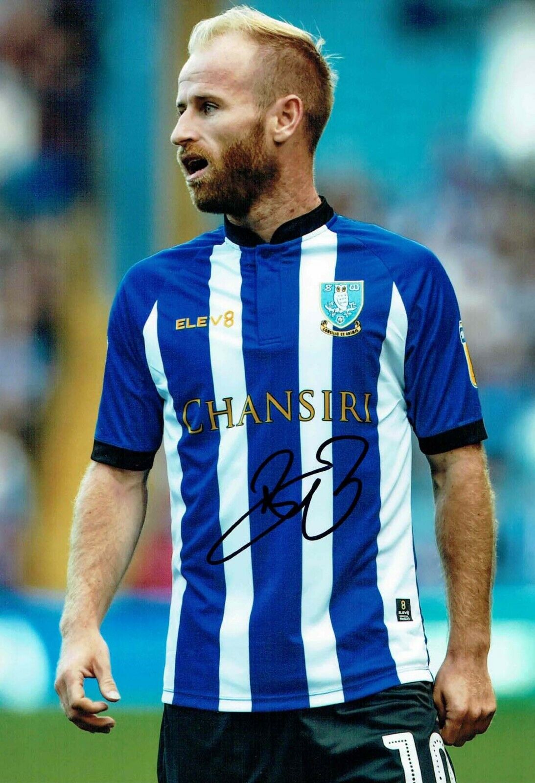 Barry BANNAN Sheffield Wednesday SWFC SIGNED 12x8 2019 Season Photo Poster painting 2 AFTAL COA