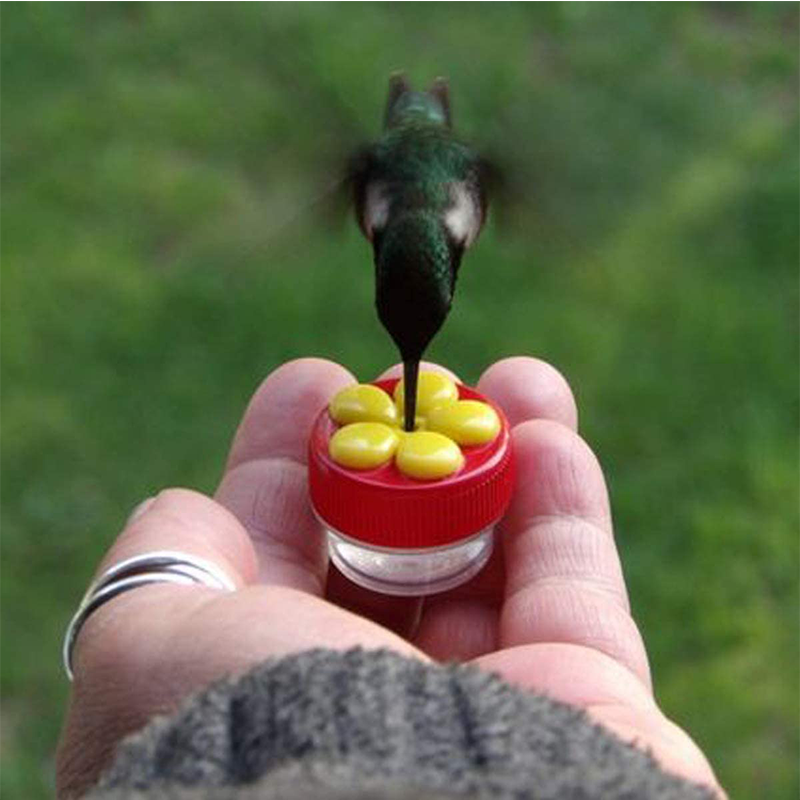 Handheld Hummingbird Feeders