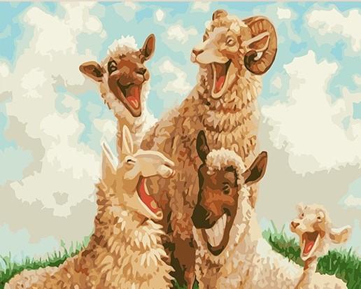 

Funny Sheep – Paint By Numbers - 40*50CM, 501 Original