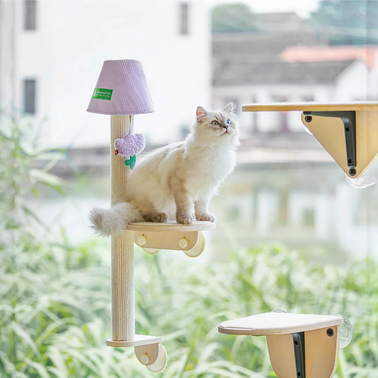 Air Cat Climbing Frame | Robotime Online