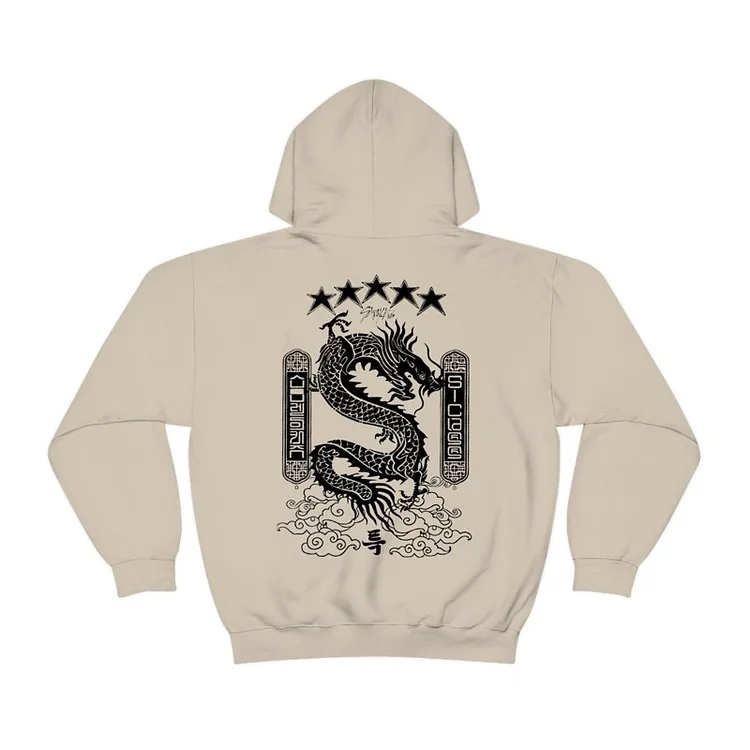 Kids best sale dragon hoodie