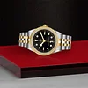 Tudor Black Bay 39 S&G