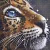 (US Only)Full Embroidery Beads Printed 9CT Leopard Head Cross Stitch Kit Decor 42x42cm