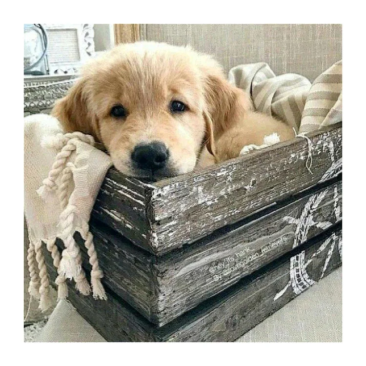 Puppy In Wooden Box - Printed Cross Stitch 11CT 40*40CM