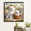 Diamond Painting-DIY Full Round Drill Cat(40*40CM)