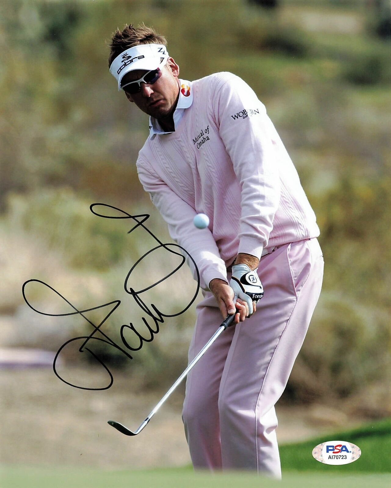 Ian Poulter signed 8x10 Photo Poster painting PSA/DNA Autographed Golf