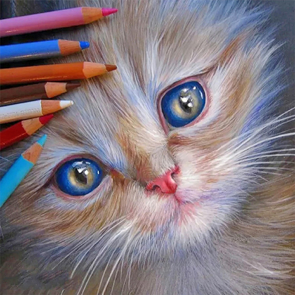 

30*30CM - Round Drill Diamond Painting - Pencil Cat, 501 Original