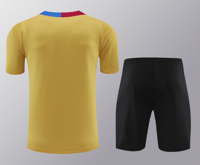 24/25 Barcelona Training Kit Short Sleeve Football Shirt Thai Quality