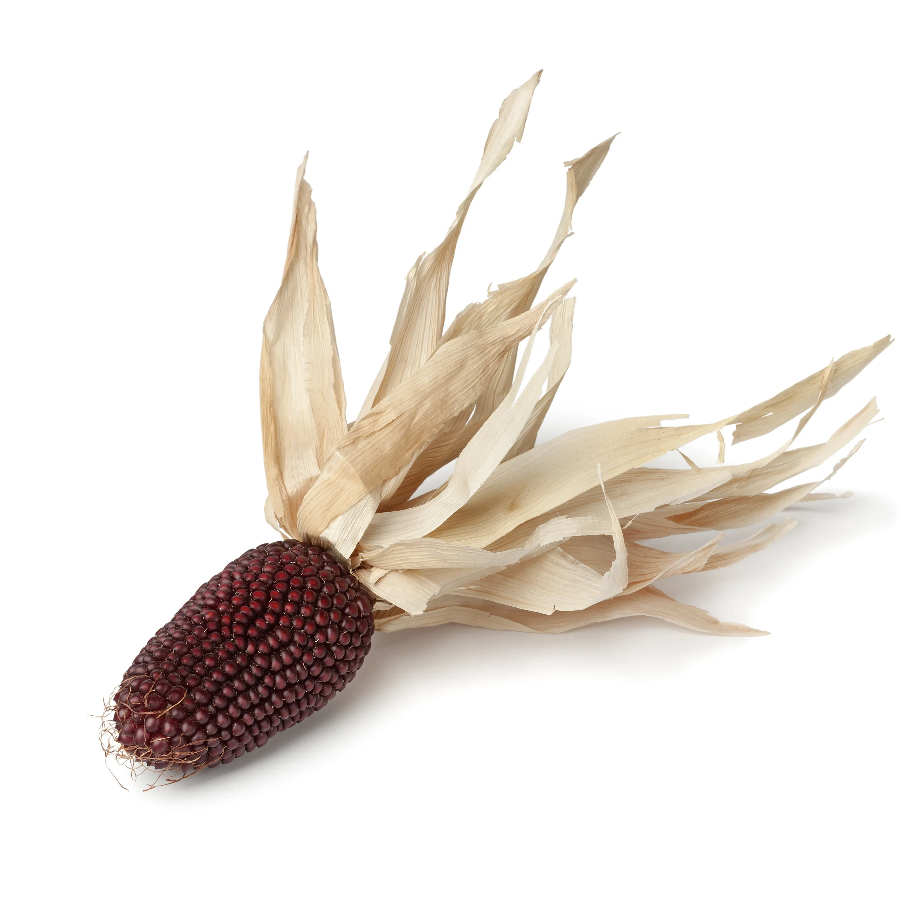 🍓&🌽Strawberry Corn seeds - 2023 popular seeds