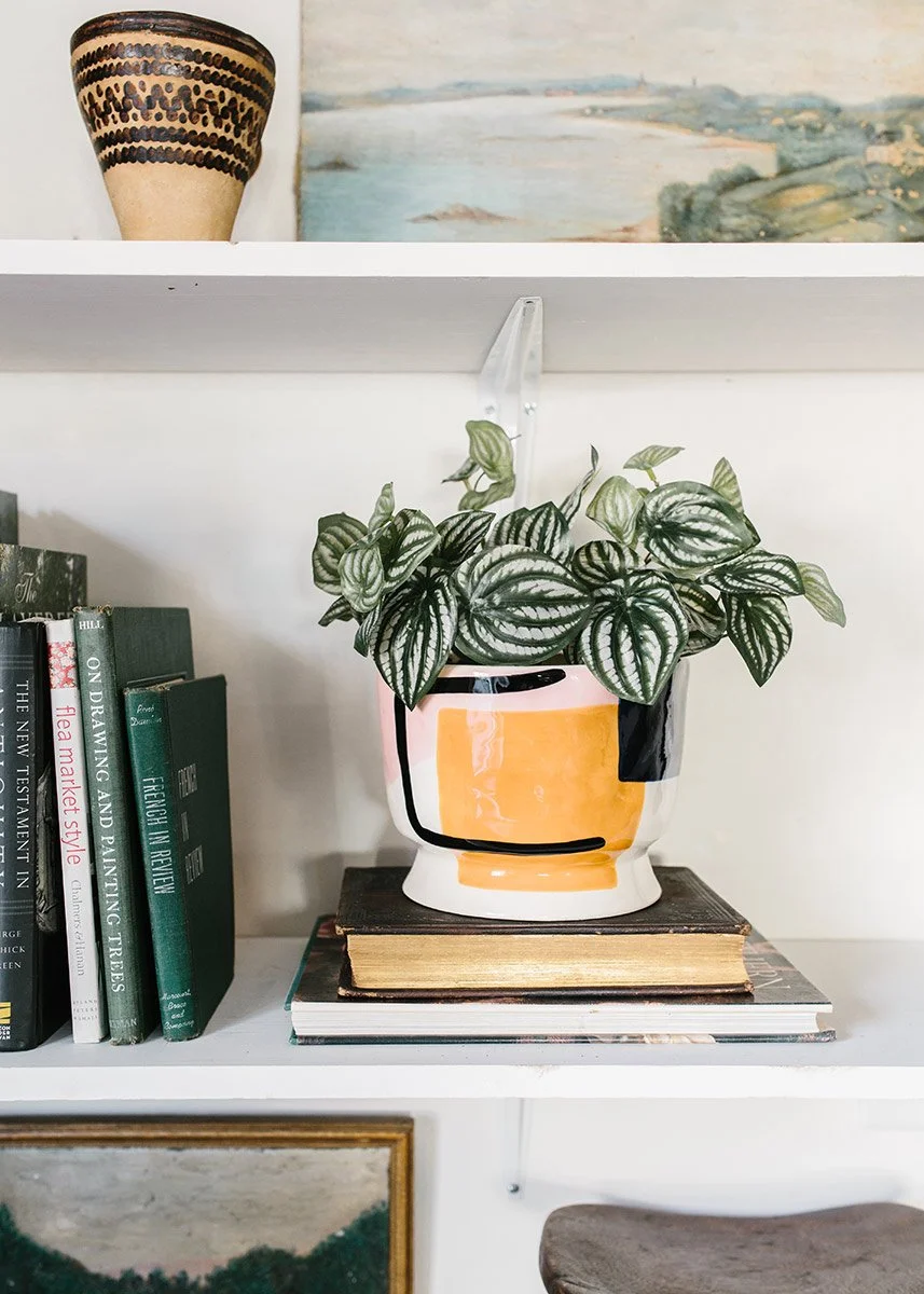 Artificial Natural Touch Watermelon Peperomia - 13"