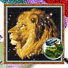 Lion - 9CT Partial Beaded Cross Stitch Kit(45x47cm)