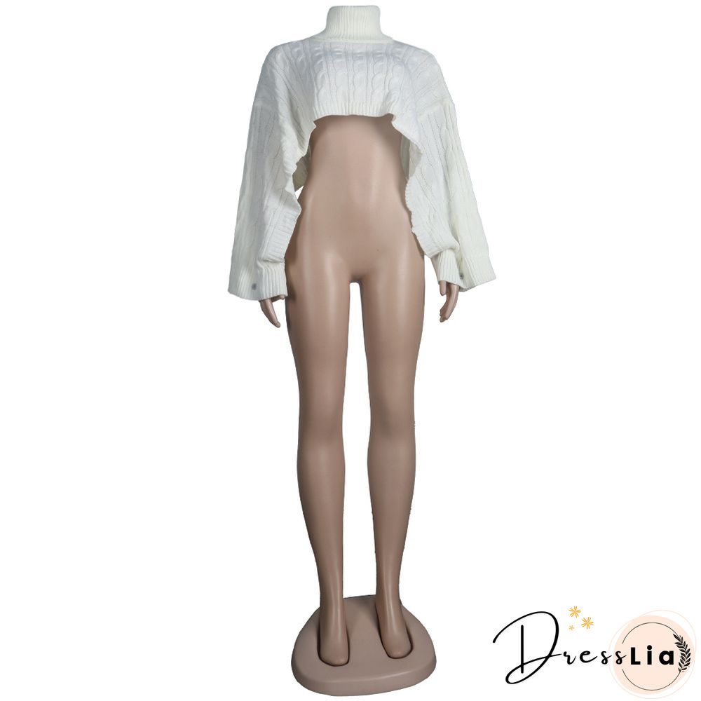 Solid Color Turtleneck Bat Sleeve Sweater Crop Top