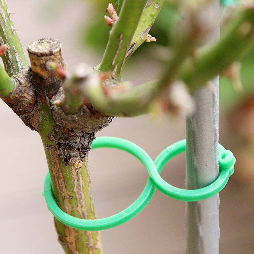 Garden Plant Holder(50PCS/100PCS/200PCS)