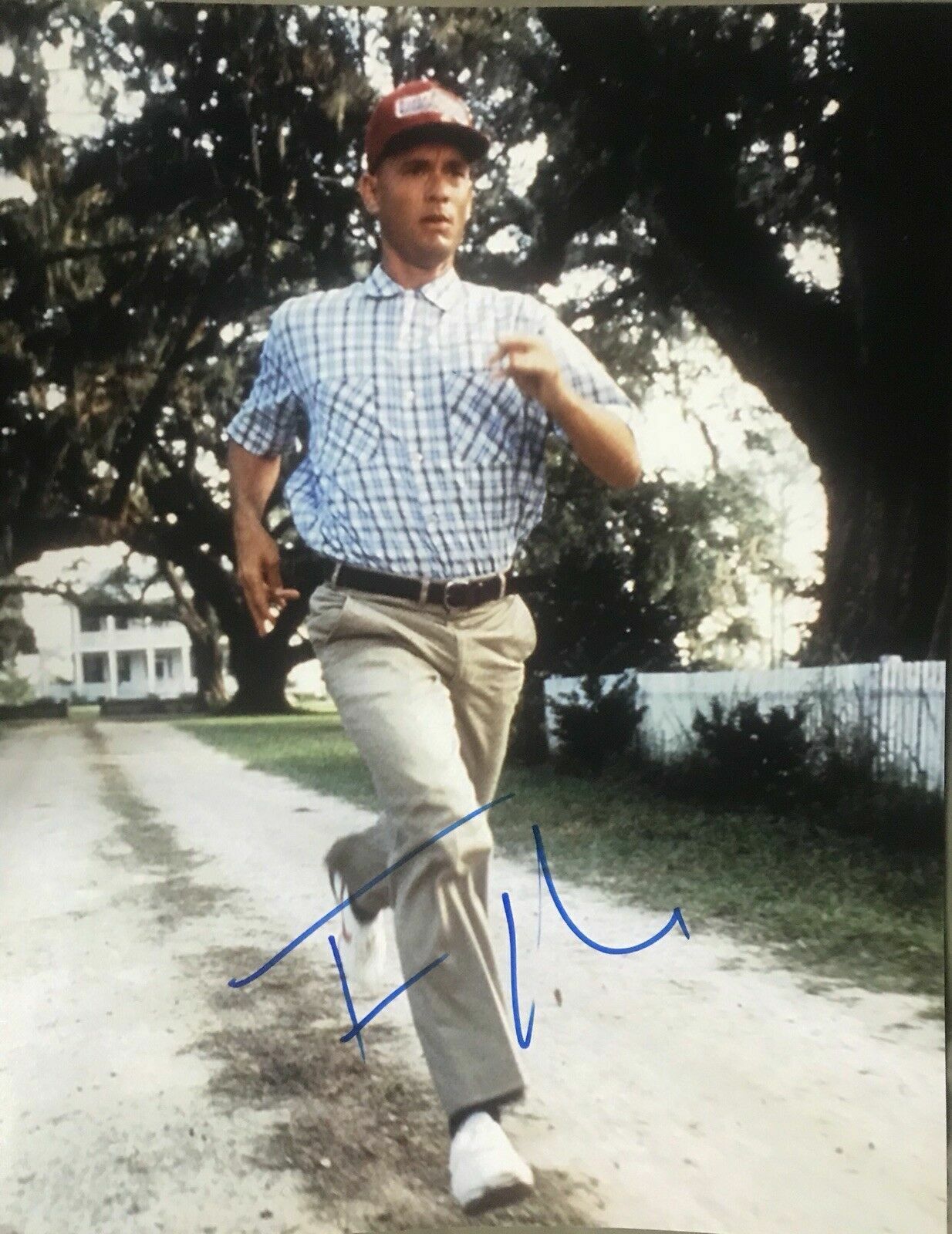 Tom Hanks Autographed Signed 8x10 Photo Poster painting ( Forrest Gump ) REPRINT