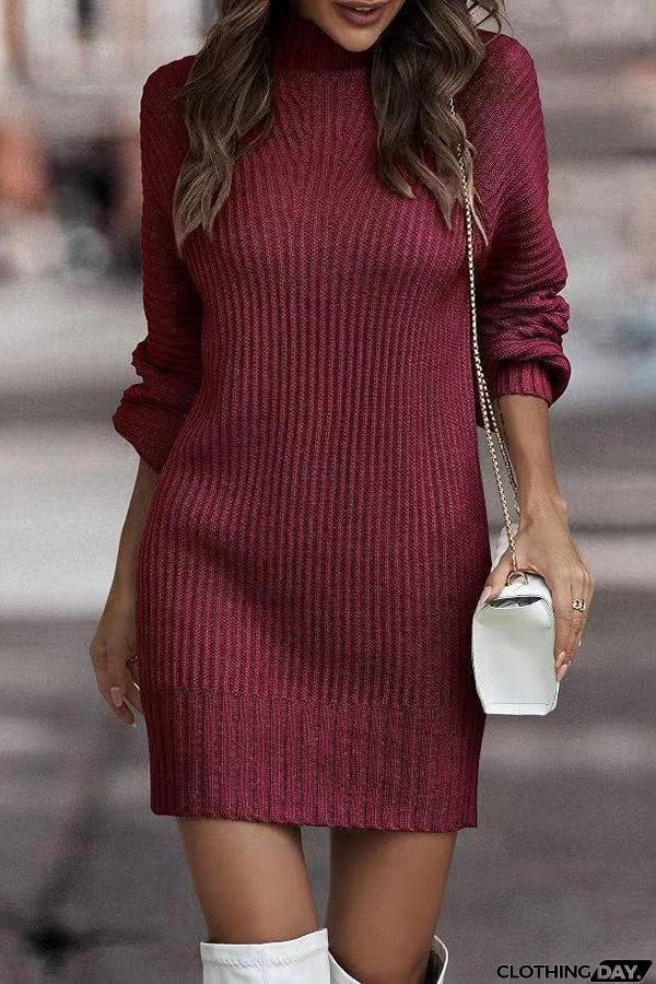 Rieuh Turtleneck Long Sleeve Knitted Mini Dress