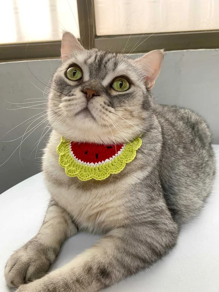 Lulusnow Handmade Green Watermelon Crochet Pet Collars/ Pet Holiday Outfit/ Festive Pet Accessories/ Gift For Pet