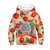 Kid Boy Girl 3D Digital Printed Pullover Casual Loose Hoodie