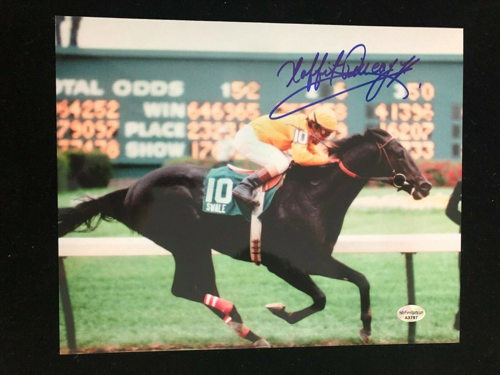 Laffit Pincay Signed Autographed Photo Poster painting - 1984 Kentucky Derby Winner Swale - COA