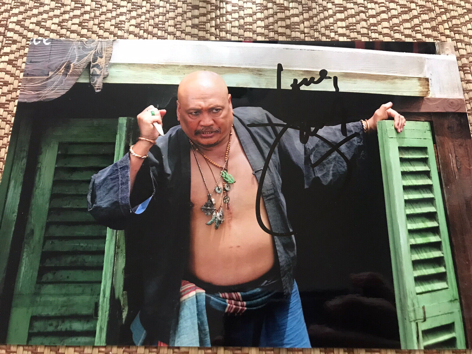 Junix Inocian Signed 9x6 Sinbad Photo Poster painting