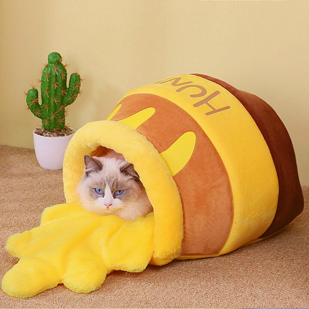 'Cat Become Winnie!' Adorable Cat Bed