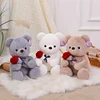 Gioiacombo™ Regalo di San Valentino Rose Teddy Bear