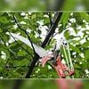 High-Altitude Branches Trimmer Labor-Saving Tree Pruner Fruit Pick Cutting Tools