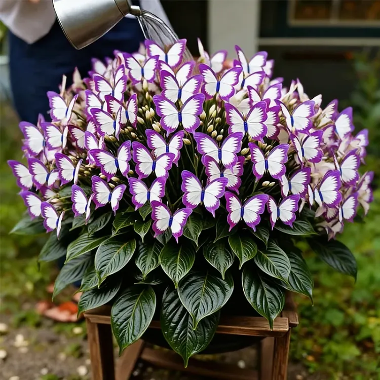 🦋🌈 Whimsical Butterfly Bulbs &ndash; A Burst of Color in Every Petal! 🌸