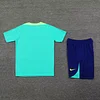 2024 Brazil pre-match training Light Blue Shirt+Shorts 1:1 Thai Quality