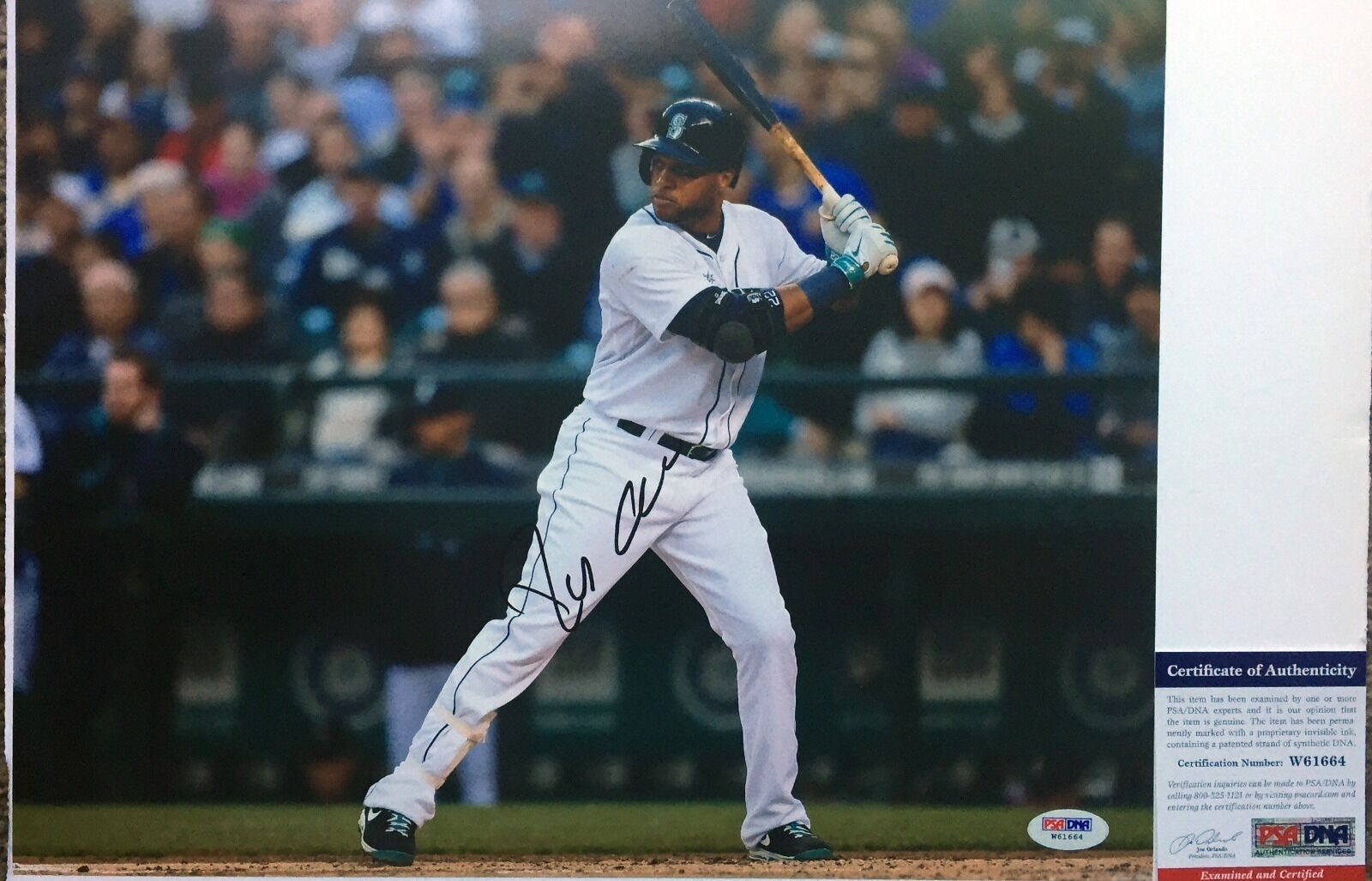 THE CANO SHOW!!! Robinson Cano Signed SEATTLE MARINERS 11x14 Photo Poster painting #1 PSA/DNA