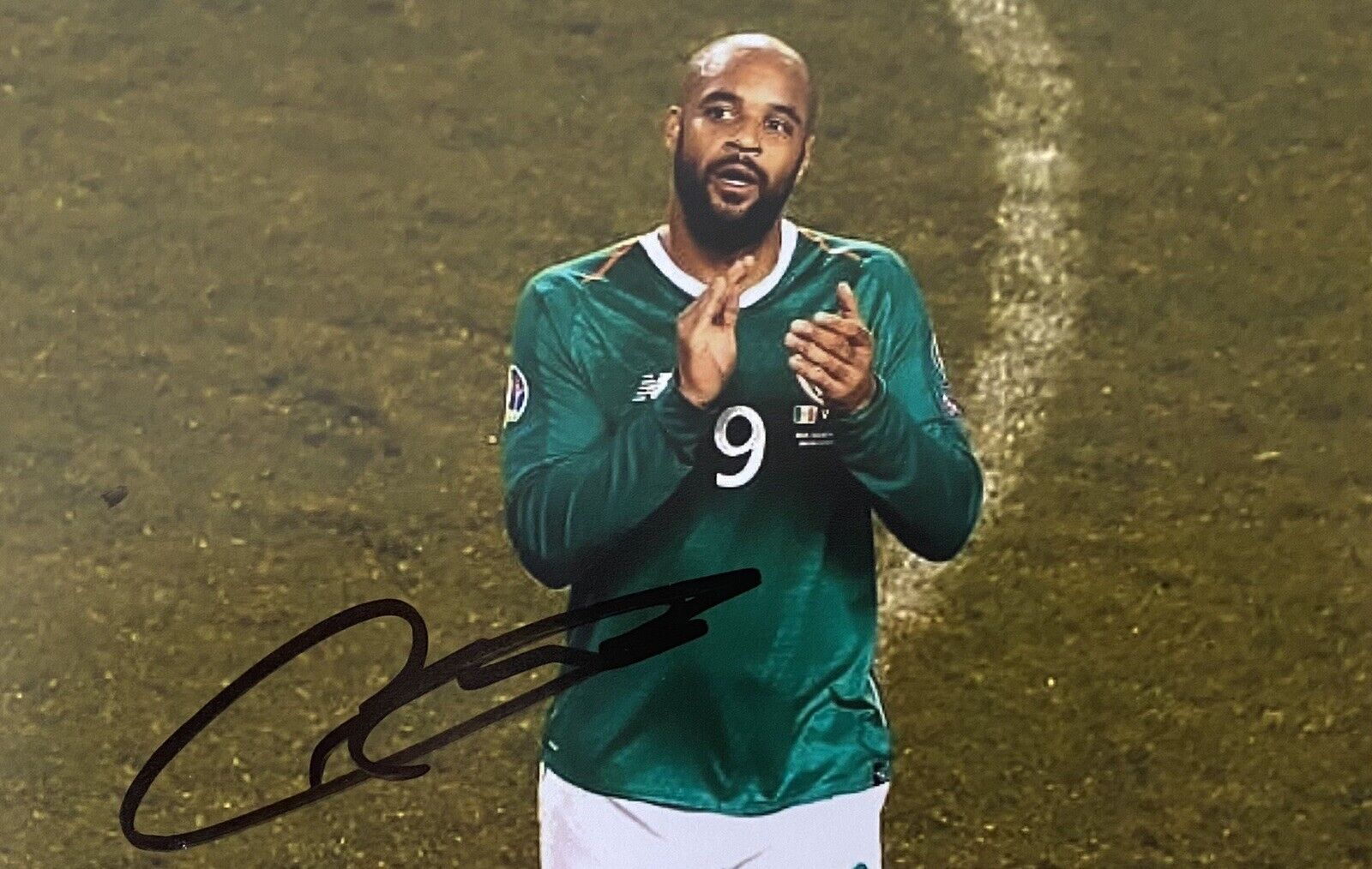 David McGoldrick Genuine Hand Signed Ireland 6X4 Photo Poster painting