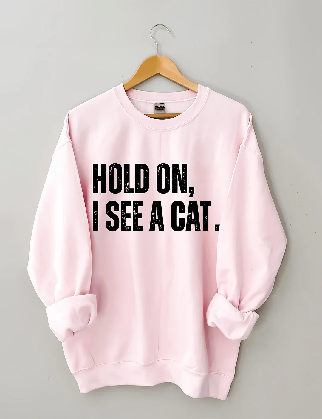 Hold On I See A Cat Sweatshirt
