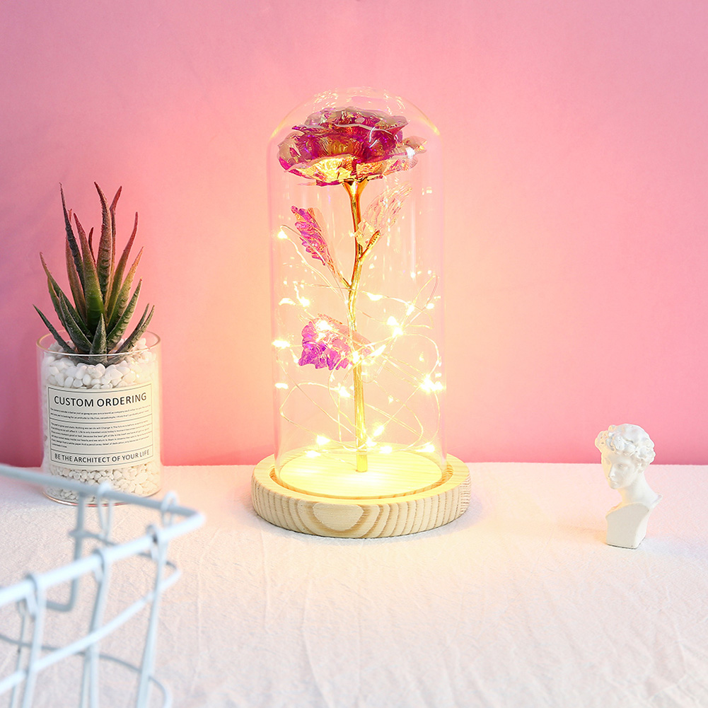 

20LED Wooden Base Night Lights Rose Glass Dome Copper Wire String Lights, 501 Original