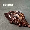 Rich Alligator | Pure Copper Crocodile Incense Burner: For Car or Home Use, Exuding Premium Quality