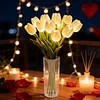Twinkling Tree Tulips