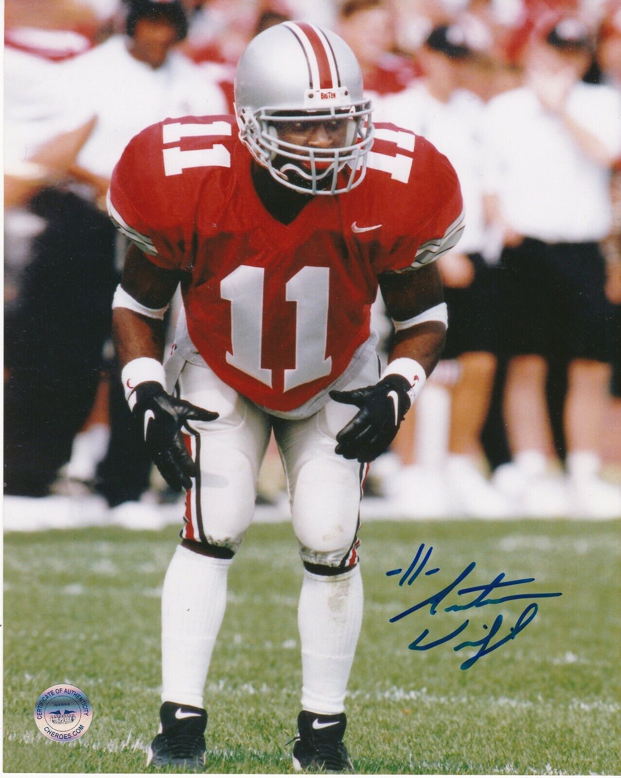 ANTOINE WINFIELD OHIO STATE BUCKEYES ACTION SIGNED 8x10