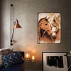 Couple Horse - Vintage Metal Signs - 30*40cm - Western