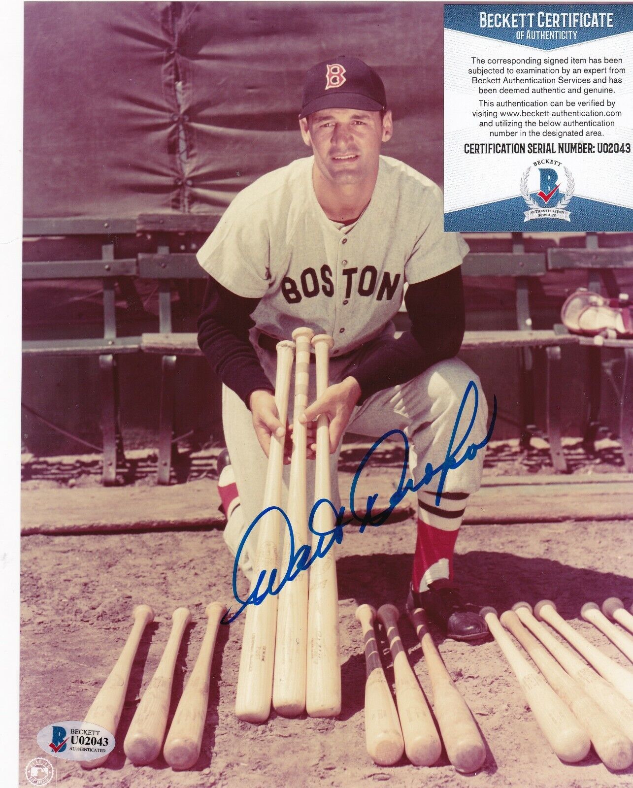 WALT DROPO BOSTON RED SOX BECKETT AUTHENTICATED ACTION SIGNED 8x10