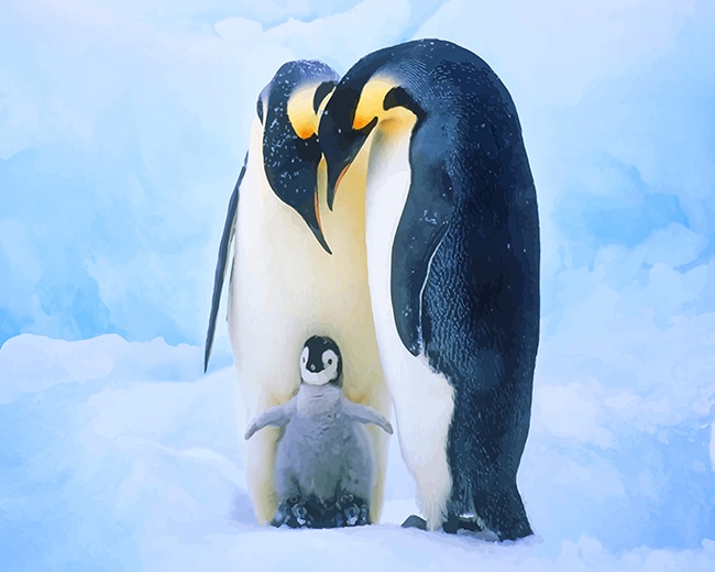 

Penguin Family – Paint By Numbers - 40*50CM, 501 Original