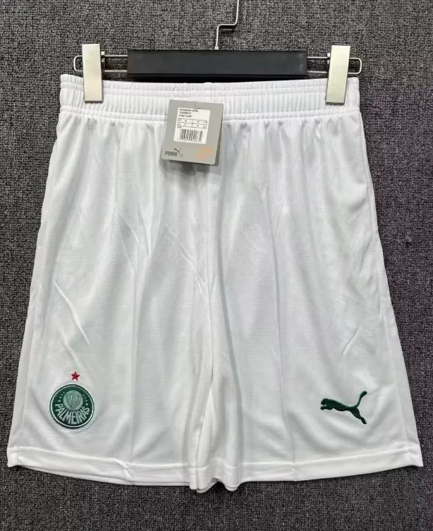 2025-26 Palmeiras Home Jersey - Fan Edition