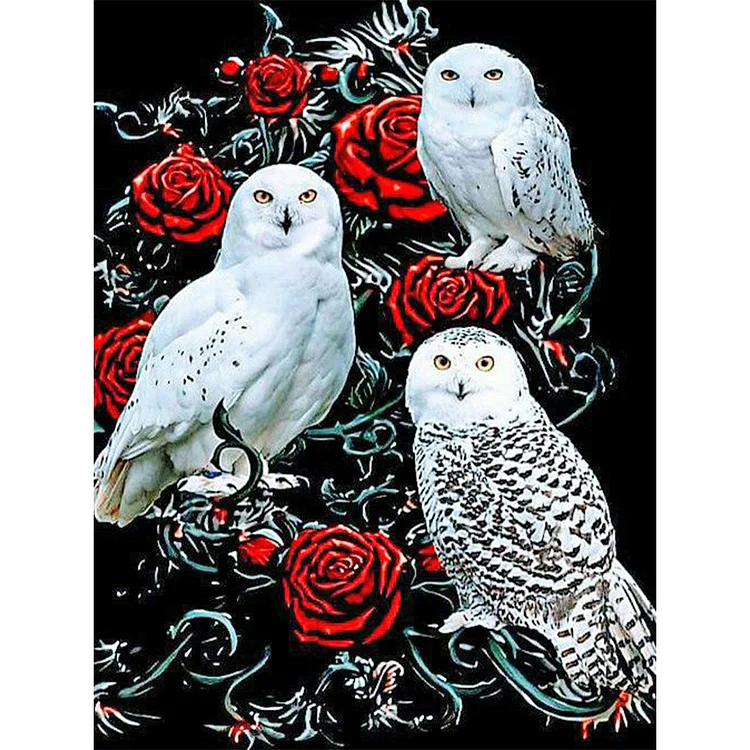 Rose and Owl - Full Round - Diamond Painting(30*40cm)