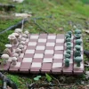 Magnetic Forest Mushroom Chess Set