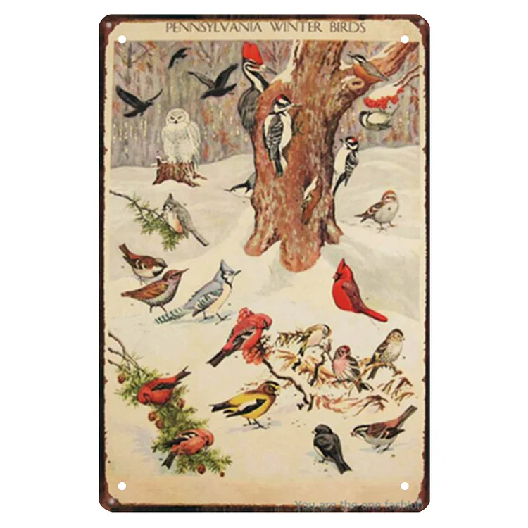 Bird - Vintage Tin Signs/Wooden Signs - 7.9x11.8in & 11.8x15.7in