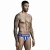 Vertical Stripes Stretch Sexy Hollow Briefs