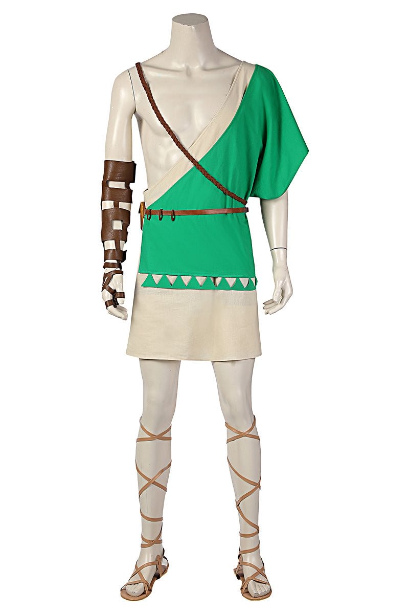 The Legend of Zelda: Breath of the Wild Link Cosplay Costume