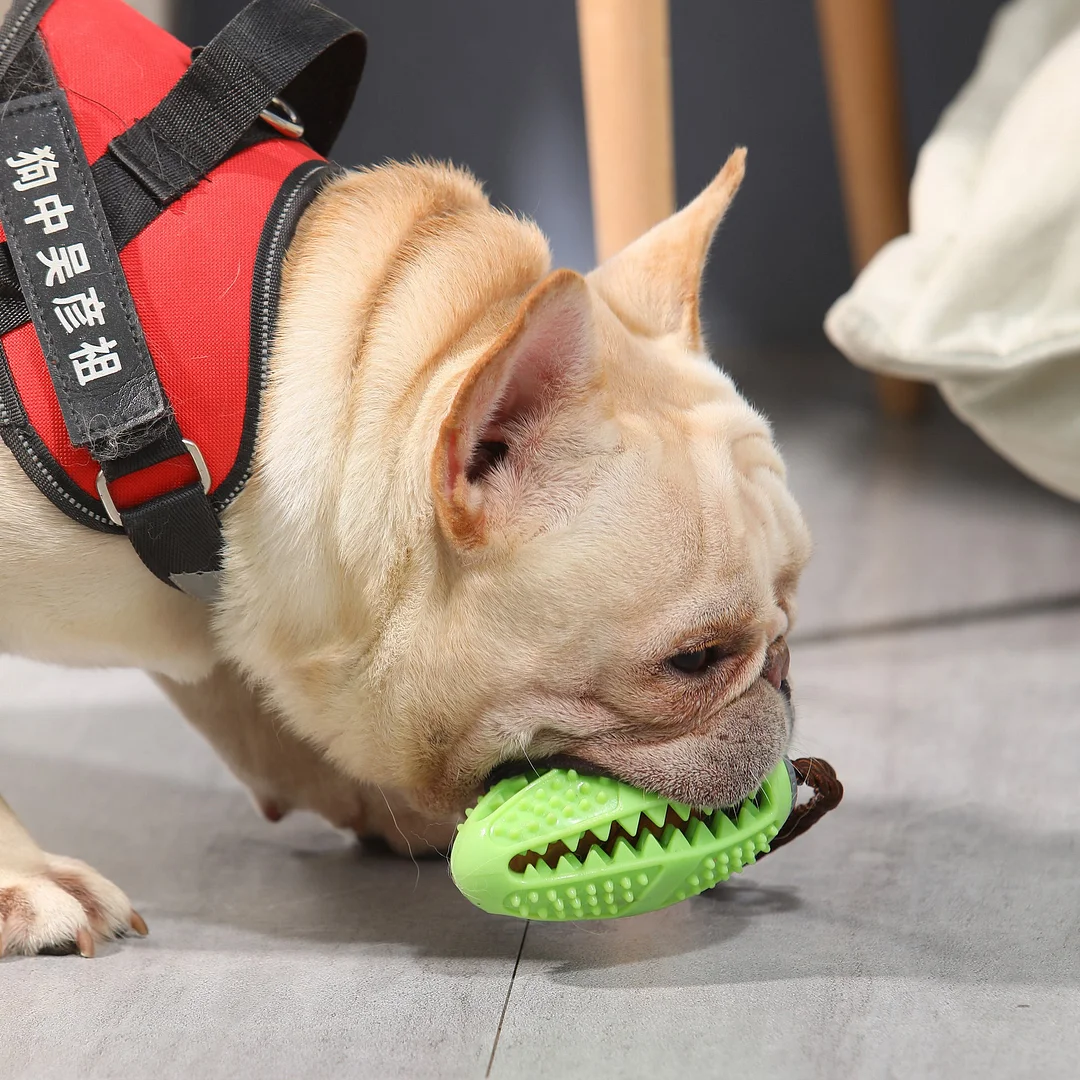 Comfortable And Efficient Dog Chew Cleaner - vzzhome