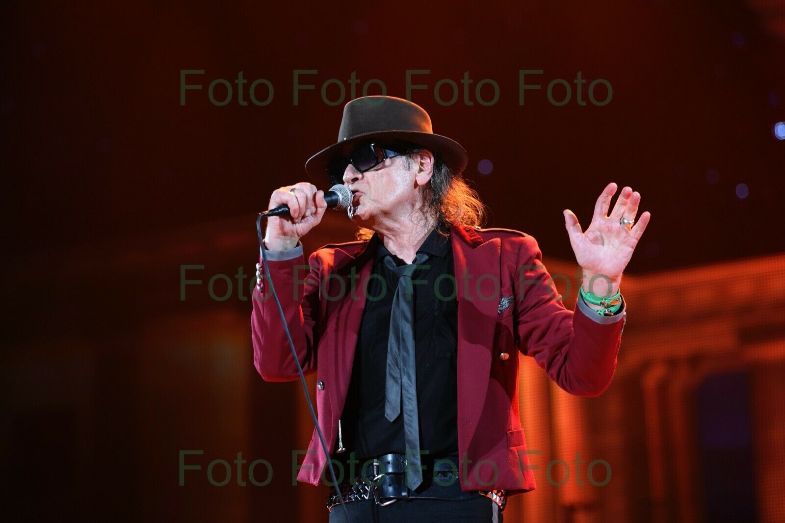 Udo Lindenberg Rock Musik Maler Foto 20 x 30 cm ohne Autogramm (Be-49