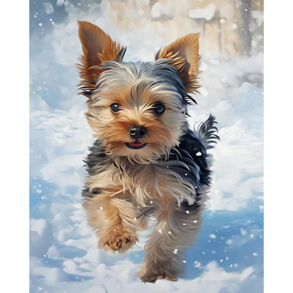 Snow Dog-Paint by Numbers-30*40cm/40*50cm