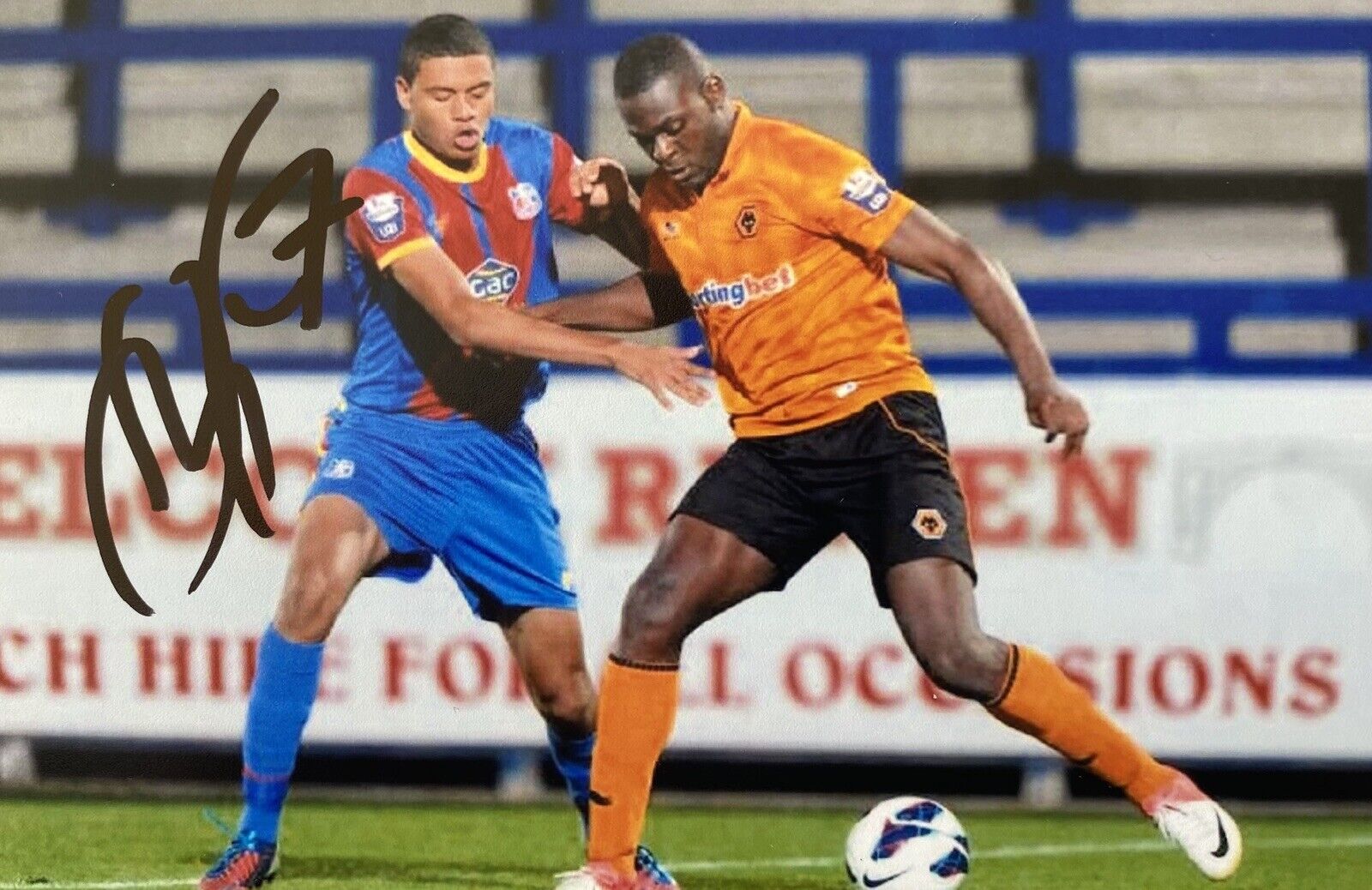 Frank Nouble Genuine Hand Signed Wolves 6X4 Photo Poster painting, See Proof