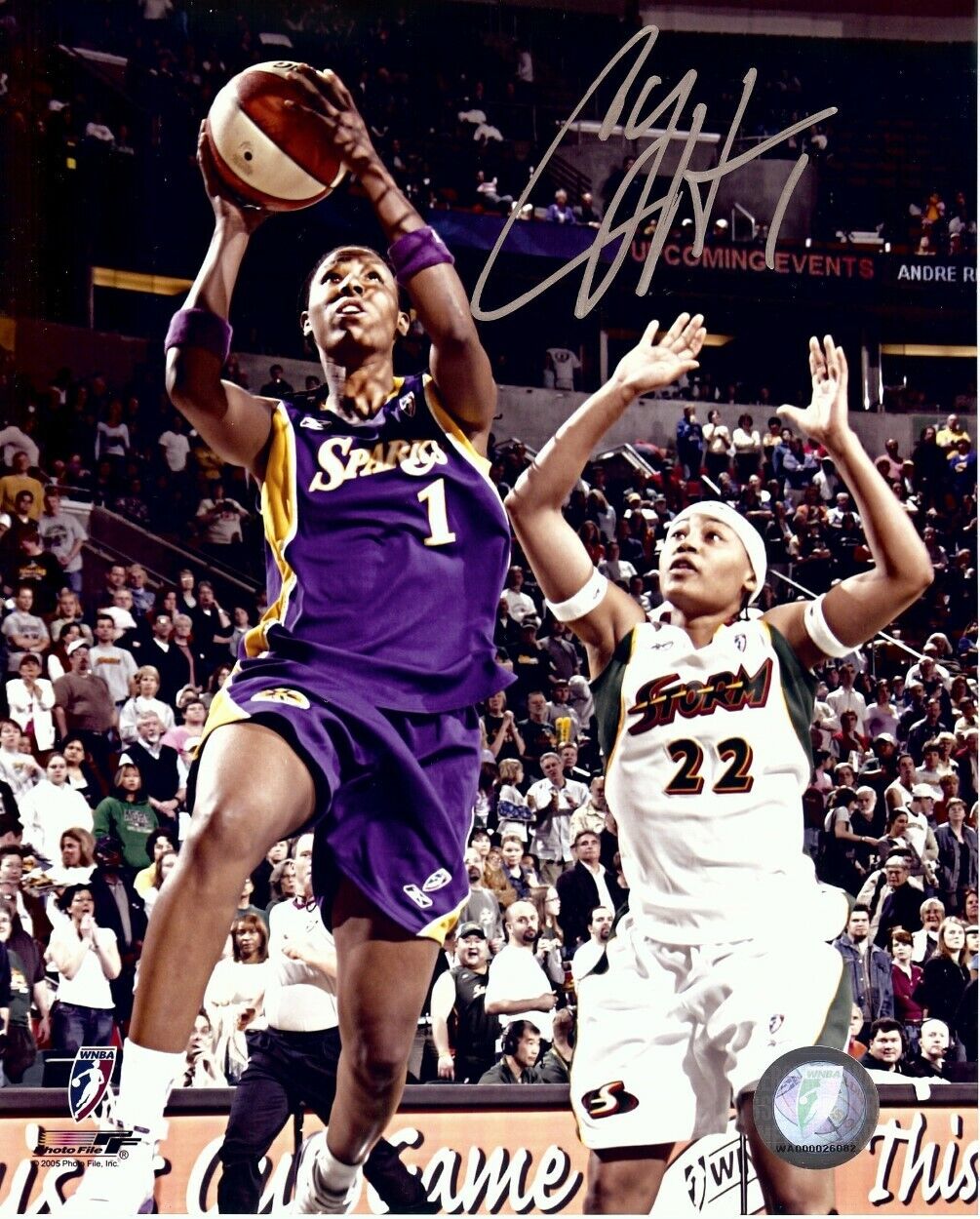 Chamique Holdsclaw Signed Autographed 8X10 Photo Poster painting Sparks Road Shooting w/COA